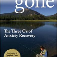 Book Review: The Three C’s of Anxiety Recovery by Stanley Hibbs Anxiety Gone by Stanley Hibbs Book Review by Chet Weld